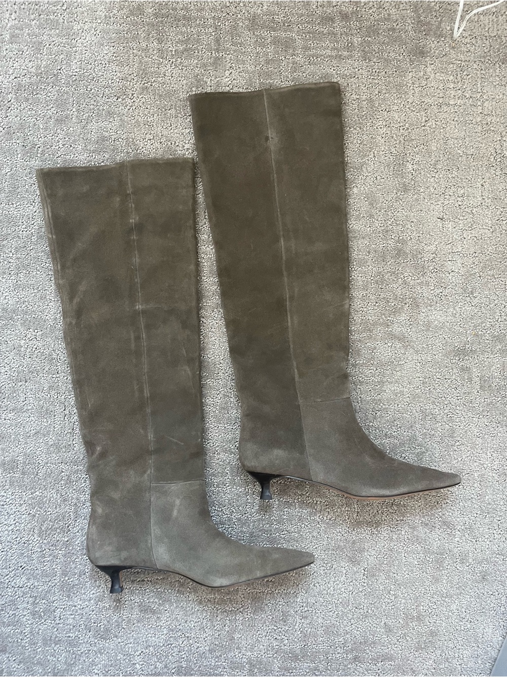 Aldo Suede Over-the-Knee Pointed-Toe Boots